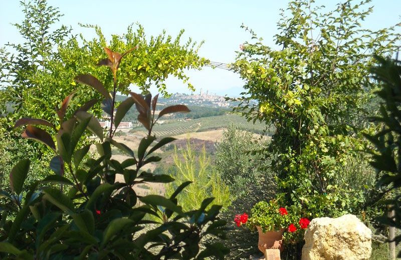 Vista su San Gimignano da Il Cardino