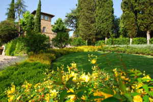 Menichelli giardini