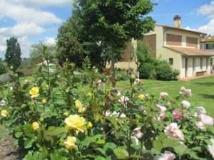 boscarecce castelfiorentino